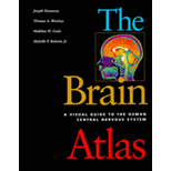 Brain Atlas: A Visual Guide to the Human Central Nervous System