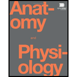 Anatomy and Physiology (OER)