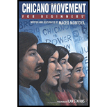 Chicano Movement For Beginners