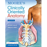 Moore's Clinically Oriented Anatomy