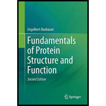 Fundamentals of Protein Structure and Function