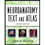 Neuroanatomy: Textbook and Atlas