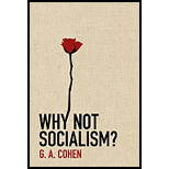 Why Not Socialism?