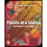 Fossils at Glance (Paperback)