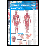 Nursing SparkChart Package