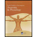 Anatomy and Physiology Study Guide (Custom)