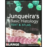 Junqueira's Basic History: Text&Atlas - Text Only