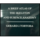 Skeleton and Surface Anatomy - Brief Atlas