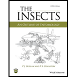 Insects : Outline of Entomology
