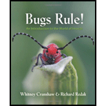 Bugs Rule!