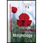 Understanding Morphology