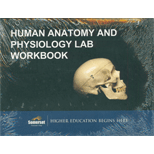 Human Anatomy and Physiology Lab Workbook (Looseleaf) (Custom)
