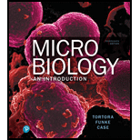 Microbiology: Introduction