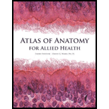 Atlas of Anatomy for Allied Health