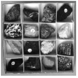 Rock and Mineral Sets