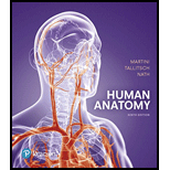 Human Anatomy