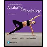 Fundamentals of Anatomy & Physiology