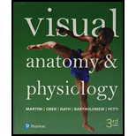 Visual Anatomy & Physiology