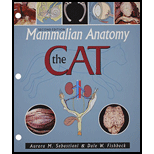 Mammalian Anatomy: The Cat