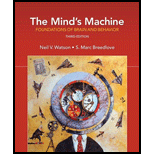 Mind's Machine