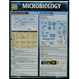 Microbiology