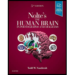 Nolte's The Human Brain in Photographs and Diagrams - With Access