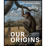 Our Origins - With Access