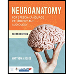 Neuroanatomy - With Access
