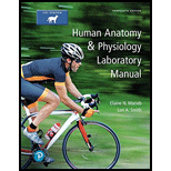 Human Anatomy & Physiology Laboratory Manual, Cat Version