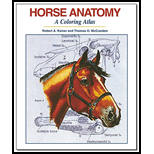 Horse Anatomy: A Coloring Atlas