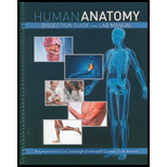 Human Anatomy - Lab Manual