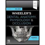 Wheeler's Dental Anatomy, Physiology and Occlusion - With Access