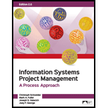 Information Systems Project Management