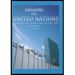 Engaging the United Nations