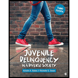 Juvenile Delinquency in a Diverse Society