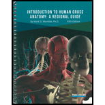 Introduction to Human Gross Anatomy