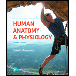 Human Anatomy and Physiology - Modified Mastering