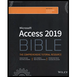 Microsoft Access 2019 Bible