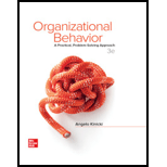 organizational behavior a practical problem solving approach