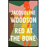 Red at the Bone: A Novel