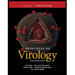Principles of Virology, Volume 1: Molecular Biology