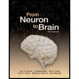 From Neuron To Brain