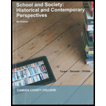 School and Society (Custom)