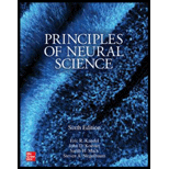 Principles of Neural Science