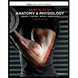 Principles of Anatomy and Physiology - Print Companion (Looseleaf)