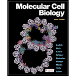 Molecular Cell Biology (Looseleaf) - With Access