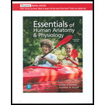 Essentials of Human Anatomy and Physiology