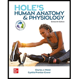 Hole's Human Anatomy And Physiology