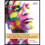 Fundamentals of Human Neuropsychology