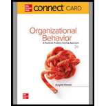 Organizational Behavior: A Practical, Problem-Solving Approach - Connect Access